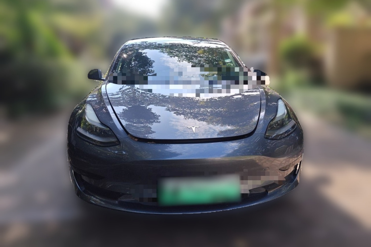 Tesla Model 3 2021 #3 Tesla Model 3 2021 car image #3