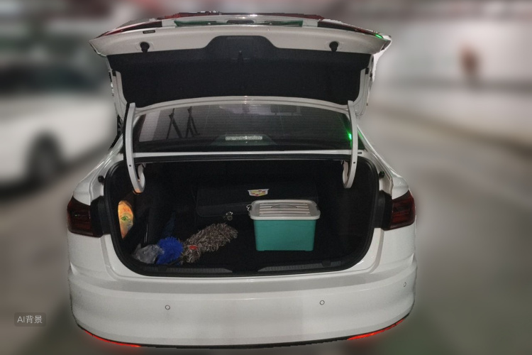 2019 #21 2019 car image #21