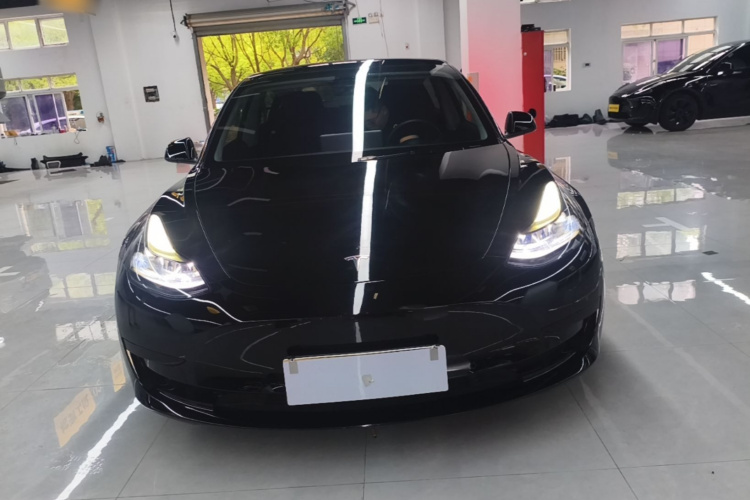 Tesla Model 3 2021 #3 Tesla Model 3 2021 car image #3