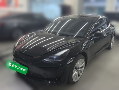 Tesla Model 3 2021 Tesla Model 3 2021 car image