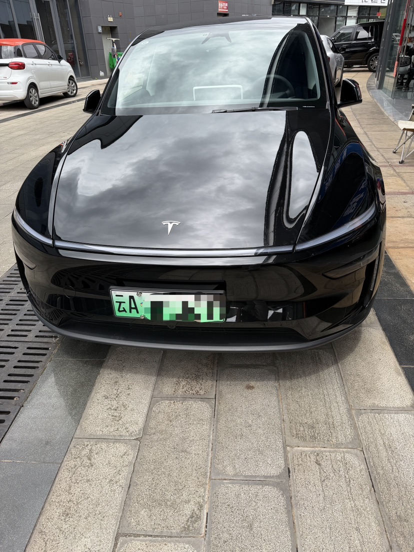 Tesla Model Y 2025 car image #2