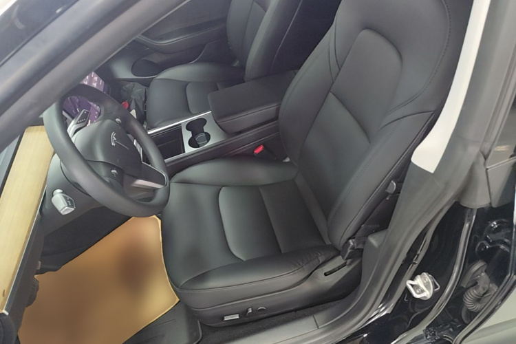 Tesla Model 3 2021 car image #15