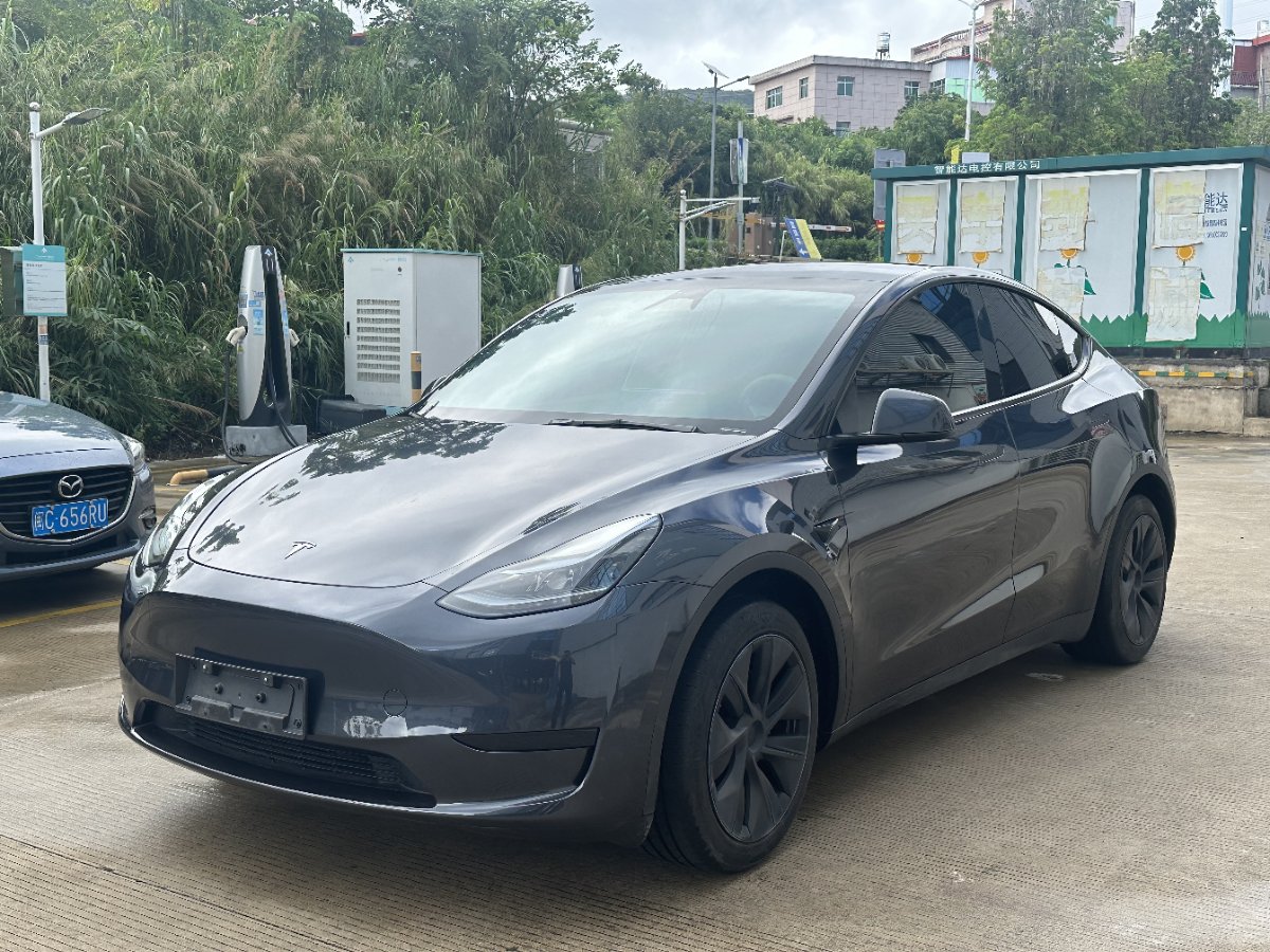 Tesla Model Y 2024 car image 