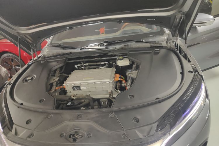 BYD Han 2022 imagen de coche #20