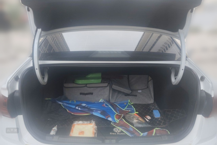 Volkswagen Bora 2021 car image #21