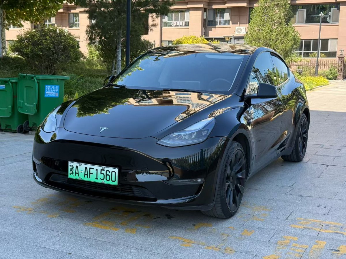 Tesla Model Y 2022 car image #2