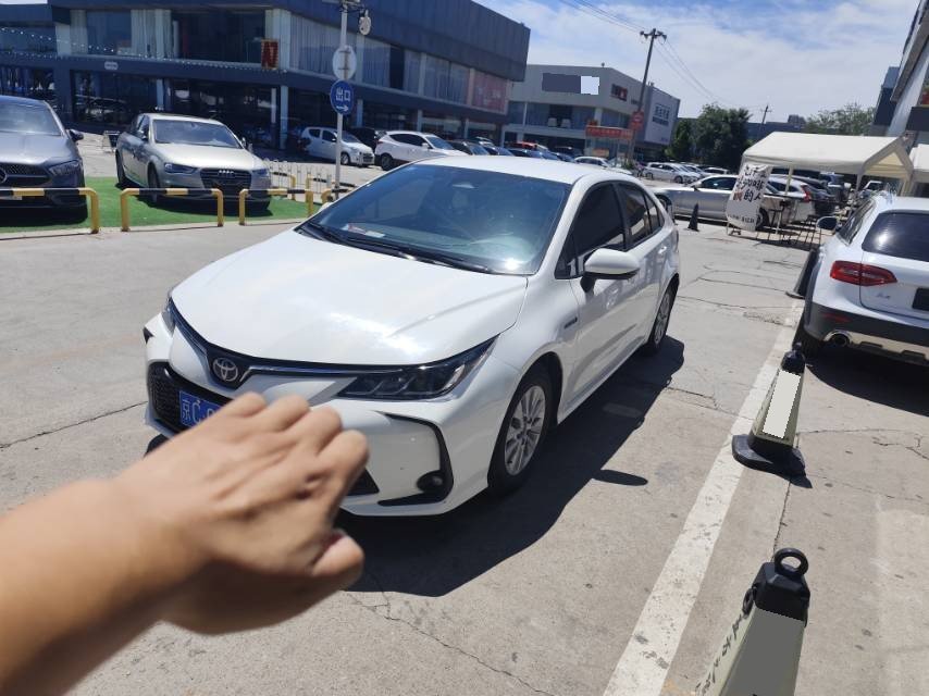 Toyota Corolla 2023 car image 