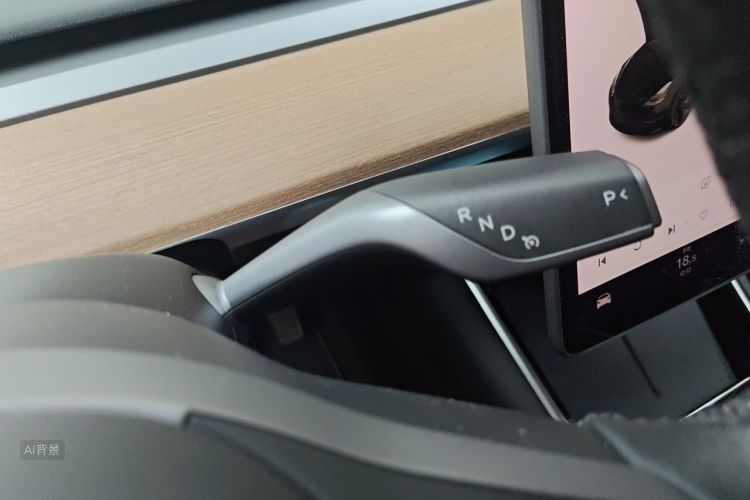 Tesla Model 3 2020 car image #16