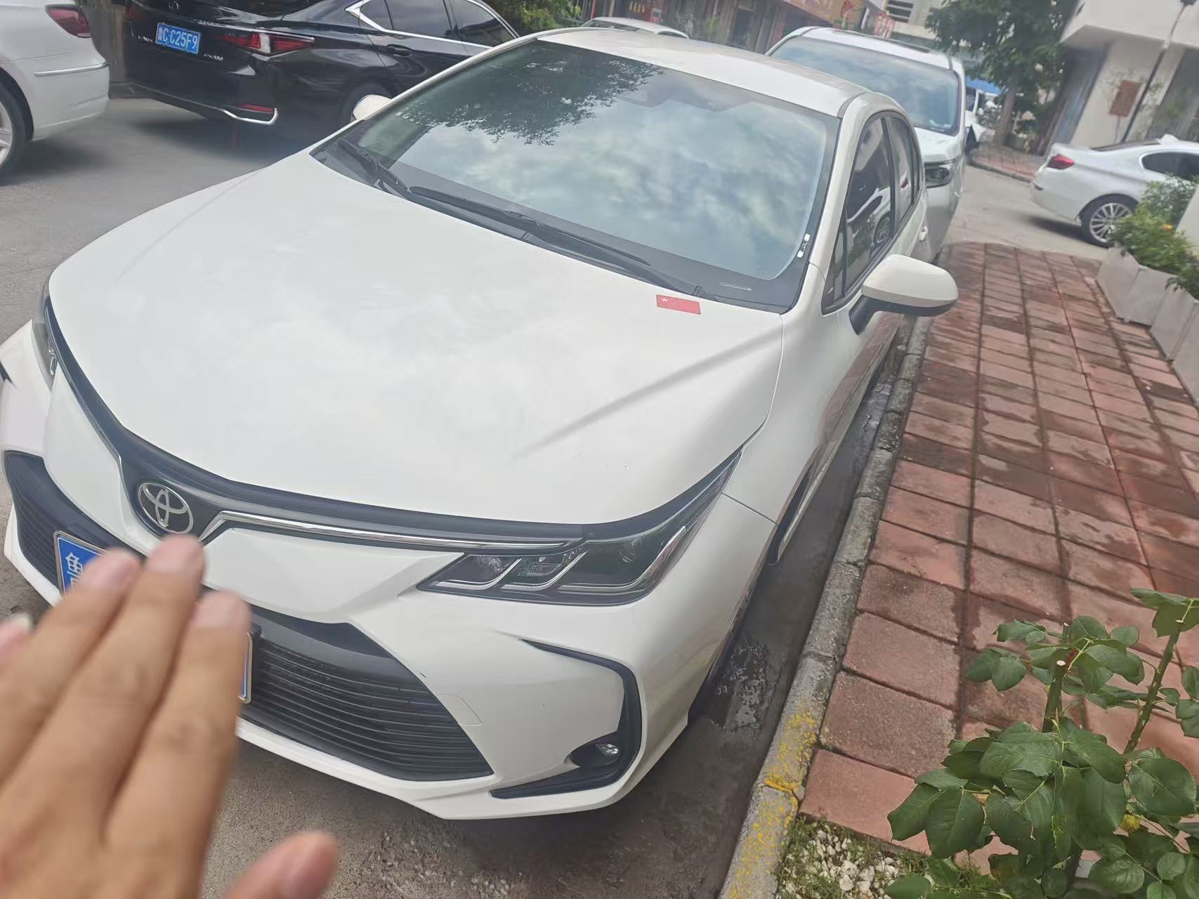 Toyota Corolla 2022 Toyota Corolla 2022 car image