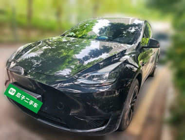 Tesla Model Y 2023 Tesla Model Y 2023 car image