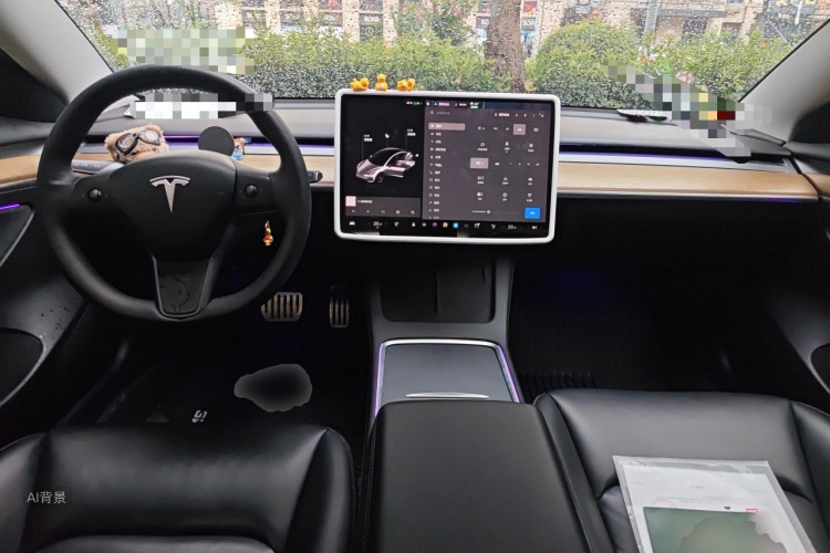 Tesla Model 3 2021 immagine di auto #11