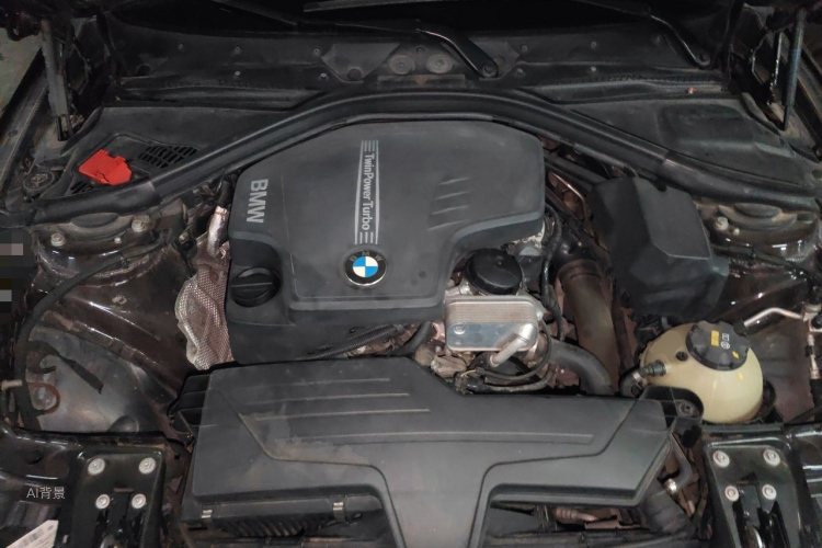 BMW 3 Series 2016 car image #22