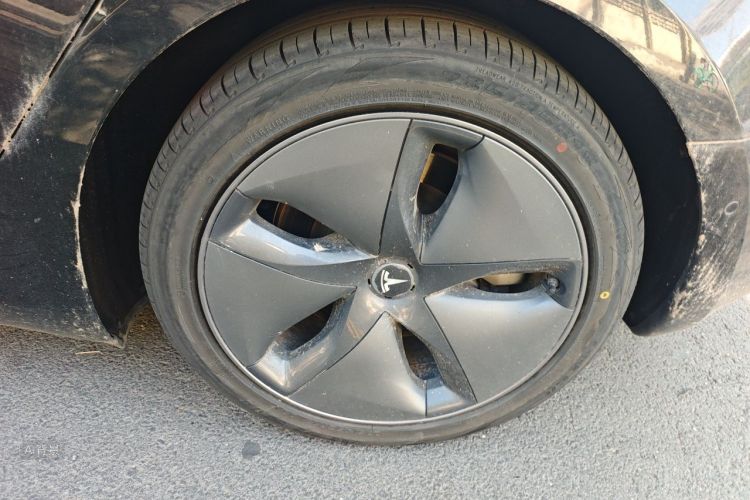 Tesla Model 3 2020 immagine di auto #9