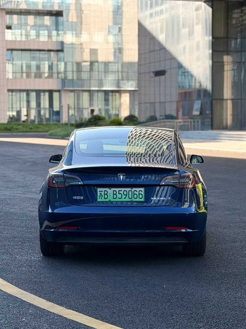 Tesla Model 3 2021 #7 Tesla Model 3 2021 car image #7