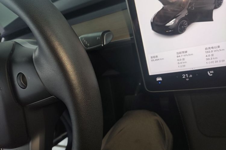 Tesla Model Y 2021 immagine di auto #14