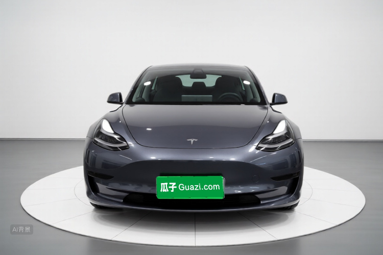 Tesla Model 3 2021 #3 Tesla Model 3 2021 car image #3