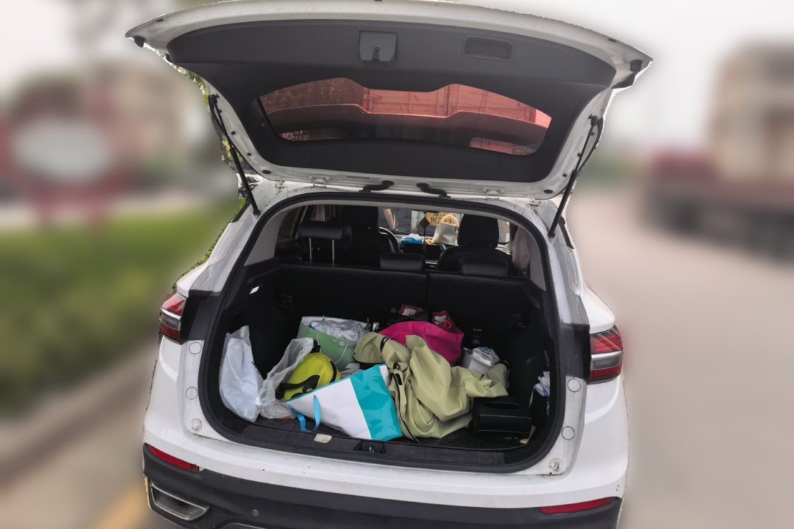 GEELY Coolray 2020 imagem de carro #8