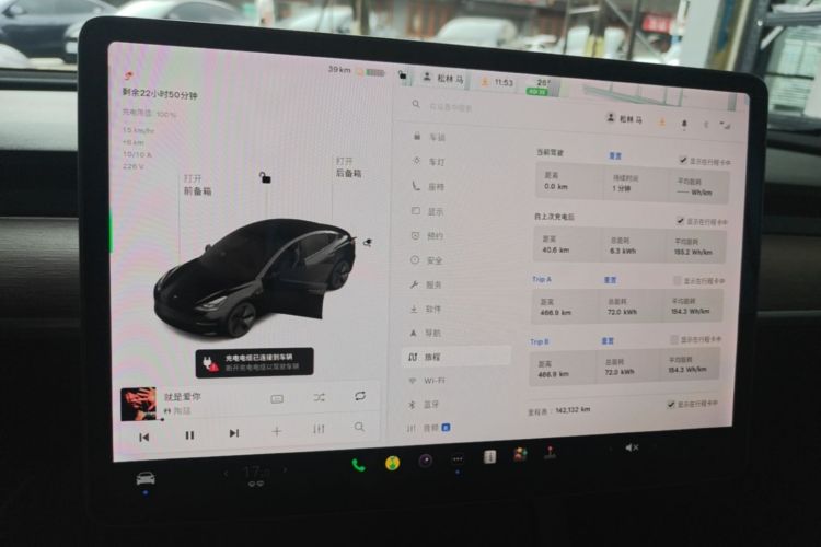 Tesla Model 3 2021 car image #12