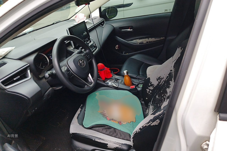 Toyota Corolla 2019 car image #17