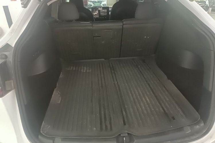 Tesla Model Y 2023 car image #19