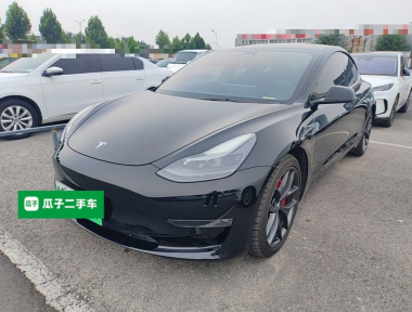 Tesla Model 3 2021 Tesla Model 3 2021 car image
