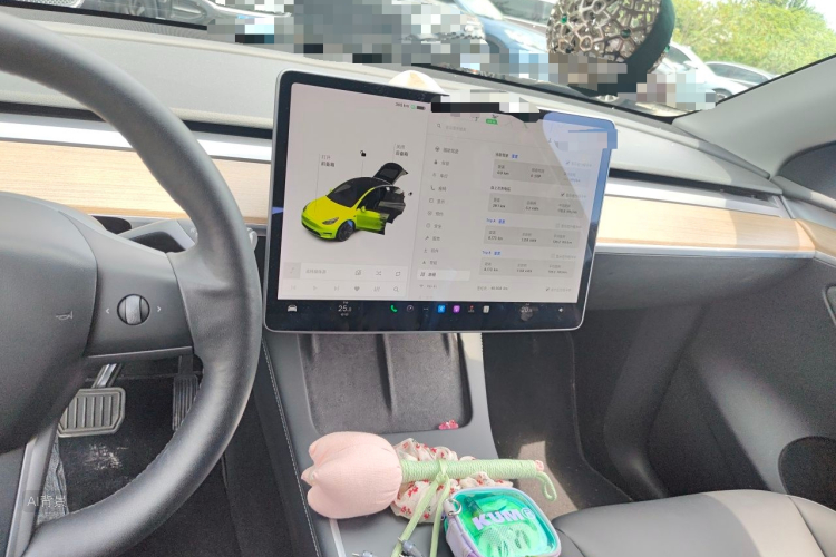 Tesla Model Y 2021 car image #15