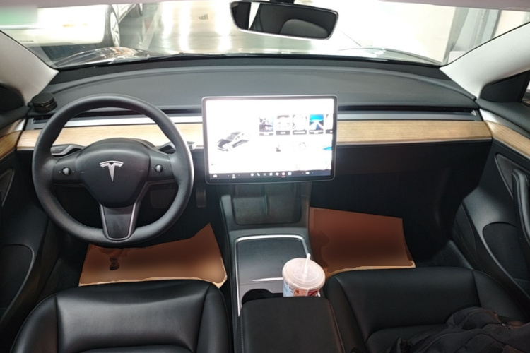 Tesla Model 3 2021 car image #10