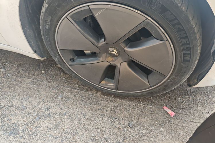 Tesla Model 3 2023 car image #9