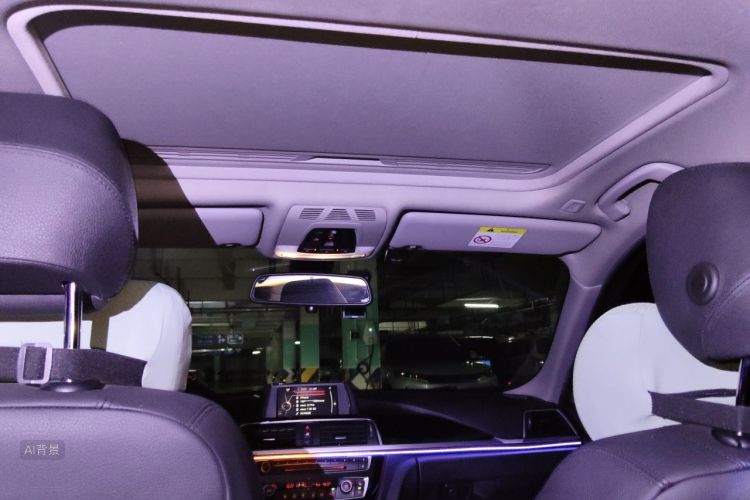 BMW 3 Series 2017 car image #20