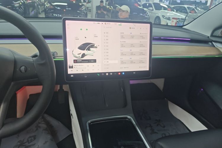 Tesla Model 3 2021 #13 Tesla Model 3 2021 car image #13