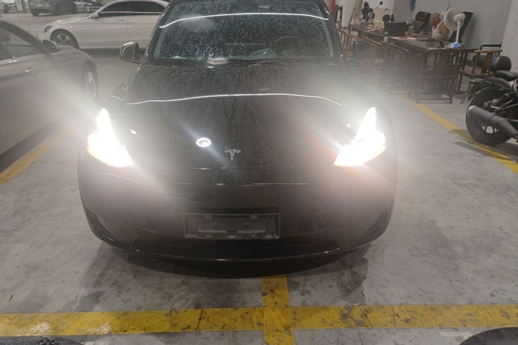 Tesla Model Y 2023 #3 Tesla Model Y 2023 car image #3