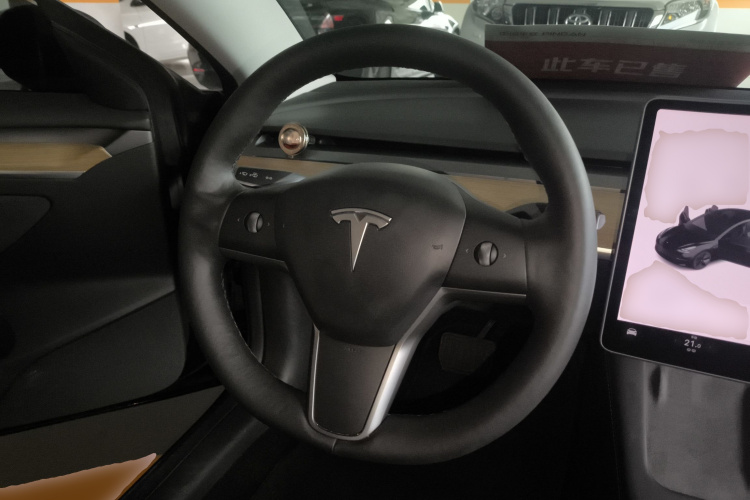 Tesla Model 3 2021 #11 Tesla Model 3 2021 car image #11