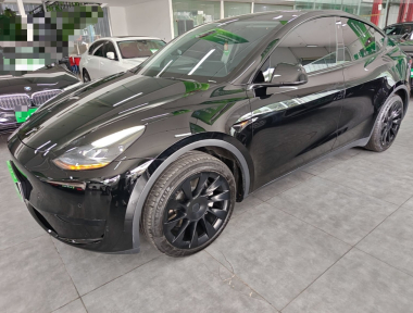 Tesla Model Y 2023 car image 