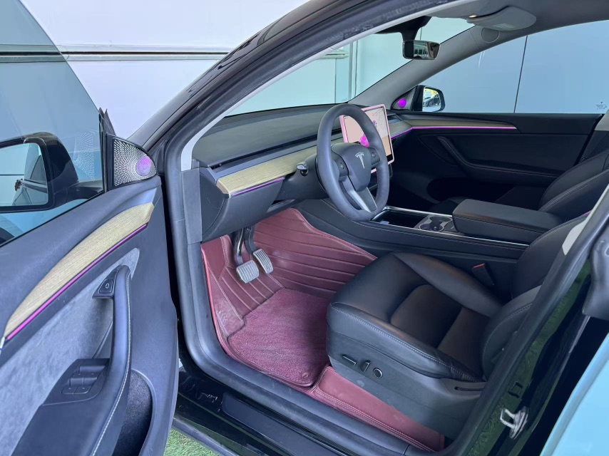 Tesla Model Y 2023 car image #4