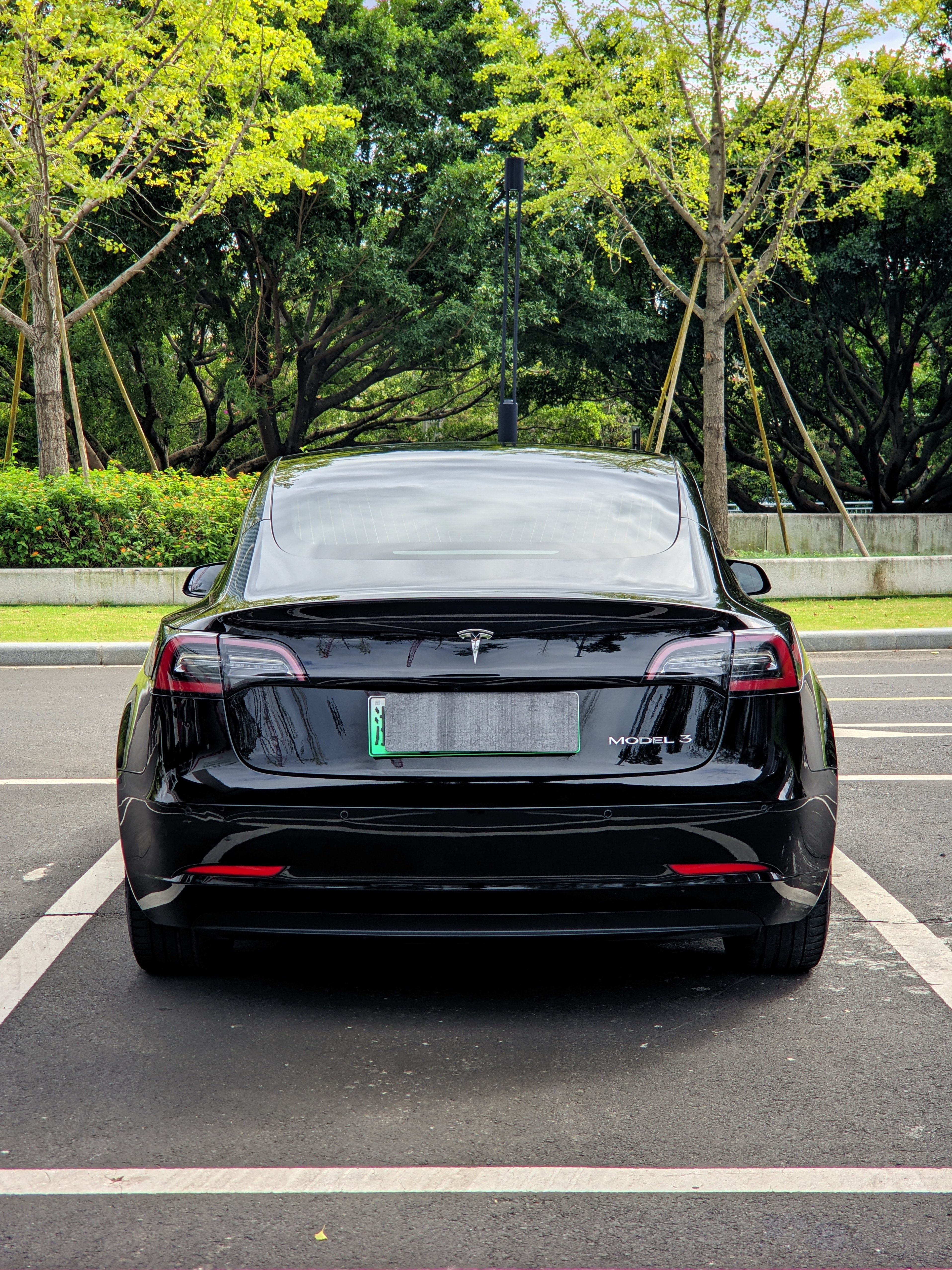 Tesla Model 3 2020 car image #10