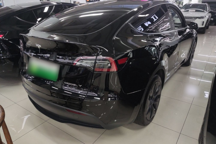 Tesla Model Y 2023 #7 Tesla Model Y 2023 car image #7