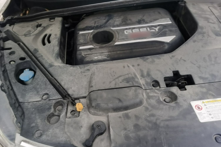 GEELY Emgrand GS 2020 car image #23