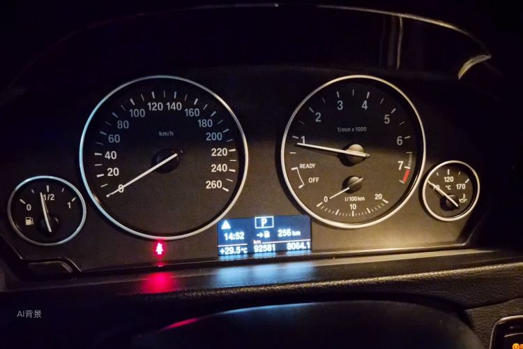 BMW 3 Series 2016 car image #13