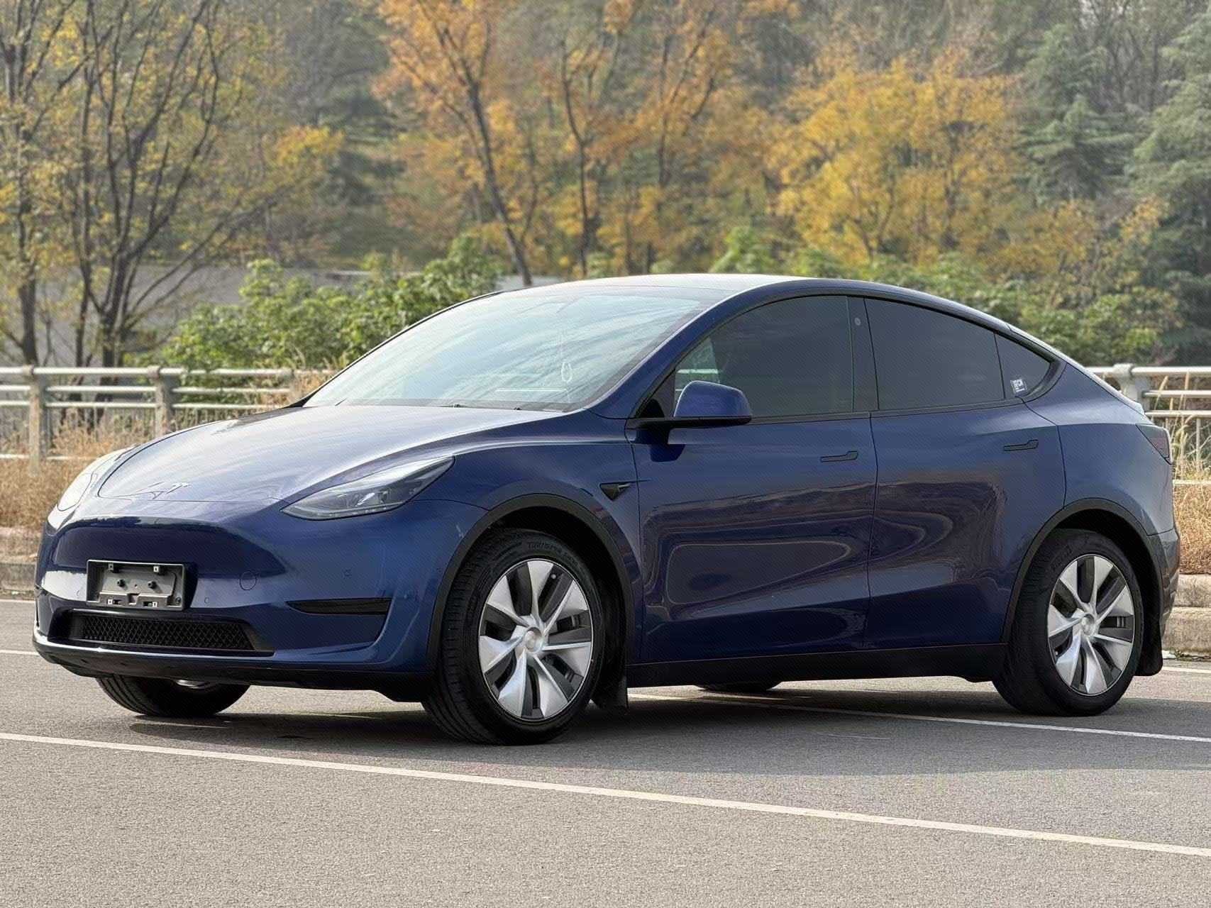 Tesla Model Y 2023 car image 