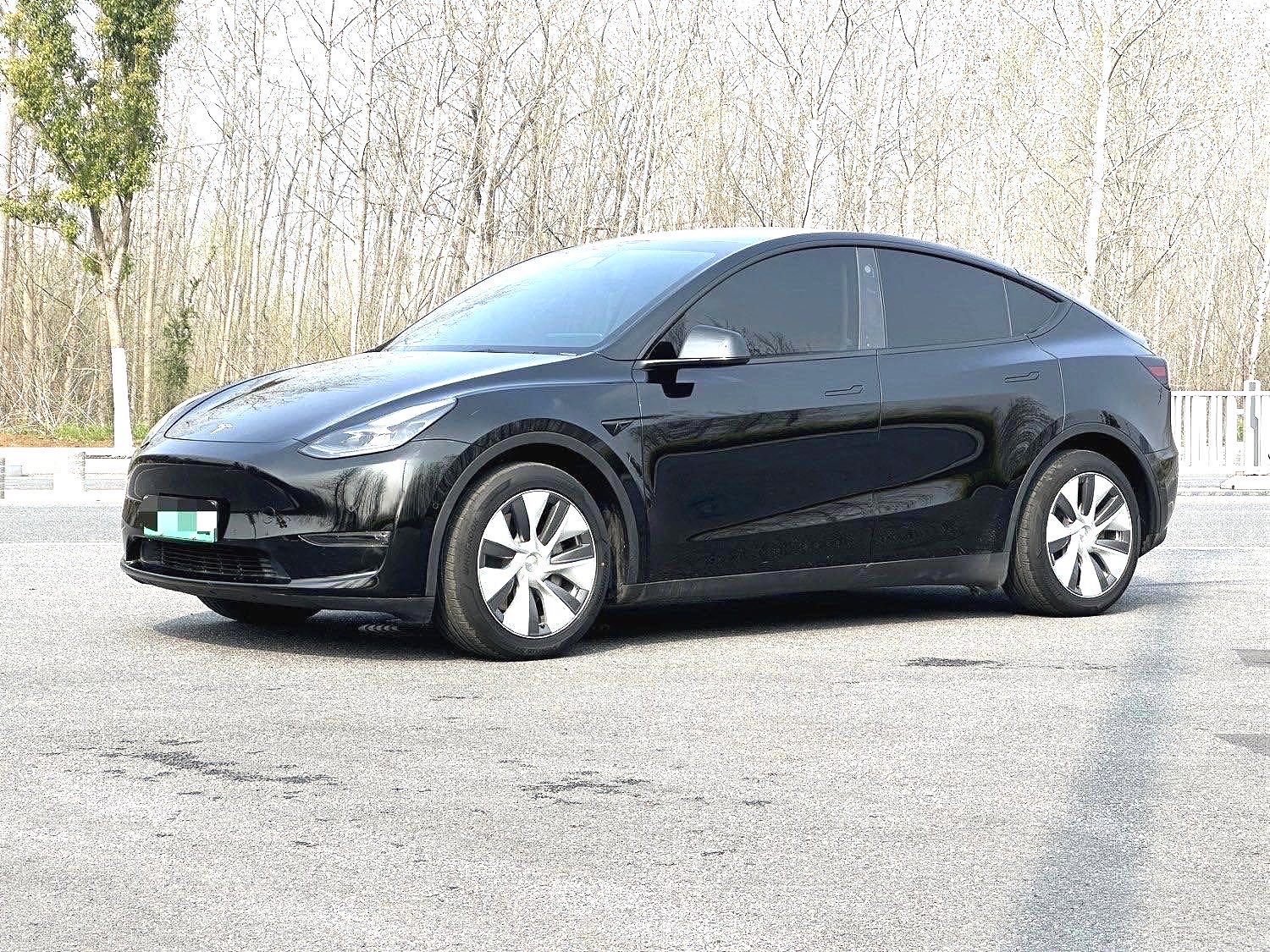 Tesla Model Y 2023 Tesla Model Y 2023 car image