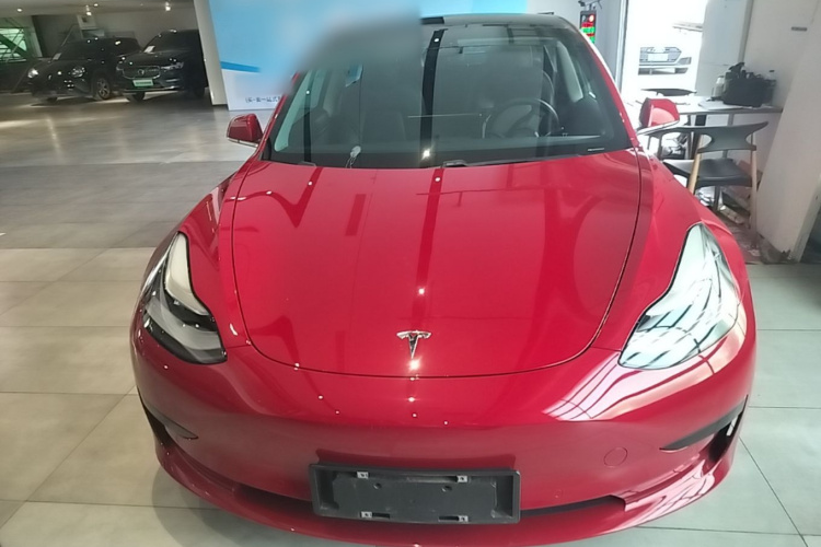 Tesla Model 3 2020 immagine di auto #3