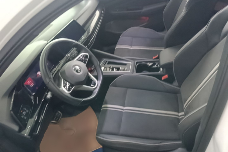 Volkswagen Golf 2021 car image #19