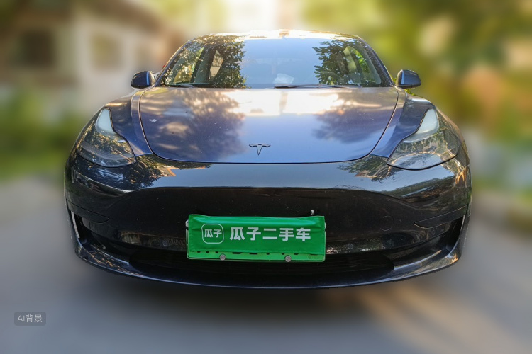 Tesla Model 3 2021 car image #3