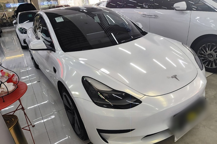 Tesla Model 3 2021 #4 Tesla Model 3 2021 car image #4
