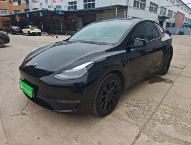 Tesla Model Y 2021 car image 