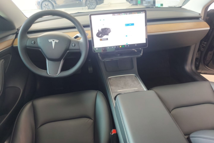 Tesla Model 3 2021 car image #10