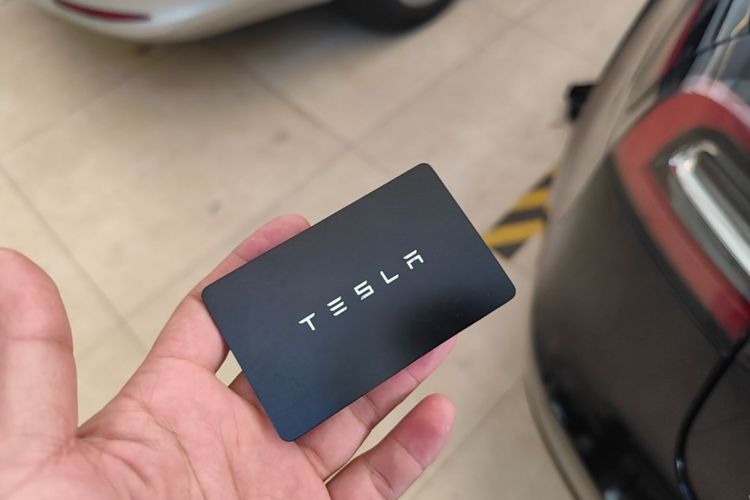 Tesla Model 3 2021 #9 Tesla Model 3 2021 car image #9