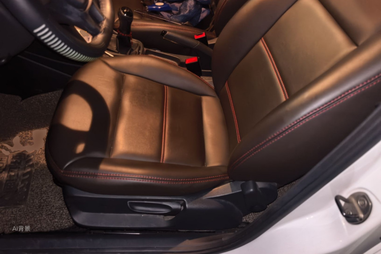 Volkswagen Polo 2017 car image #17