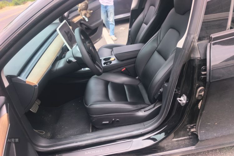 Tesla Model 3 2021 car image #17