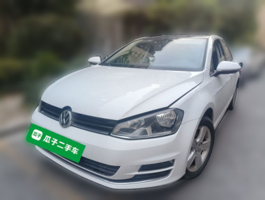 Volkswagen Golf 2014 Volkswagen Golf 2014 car image